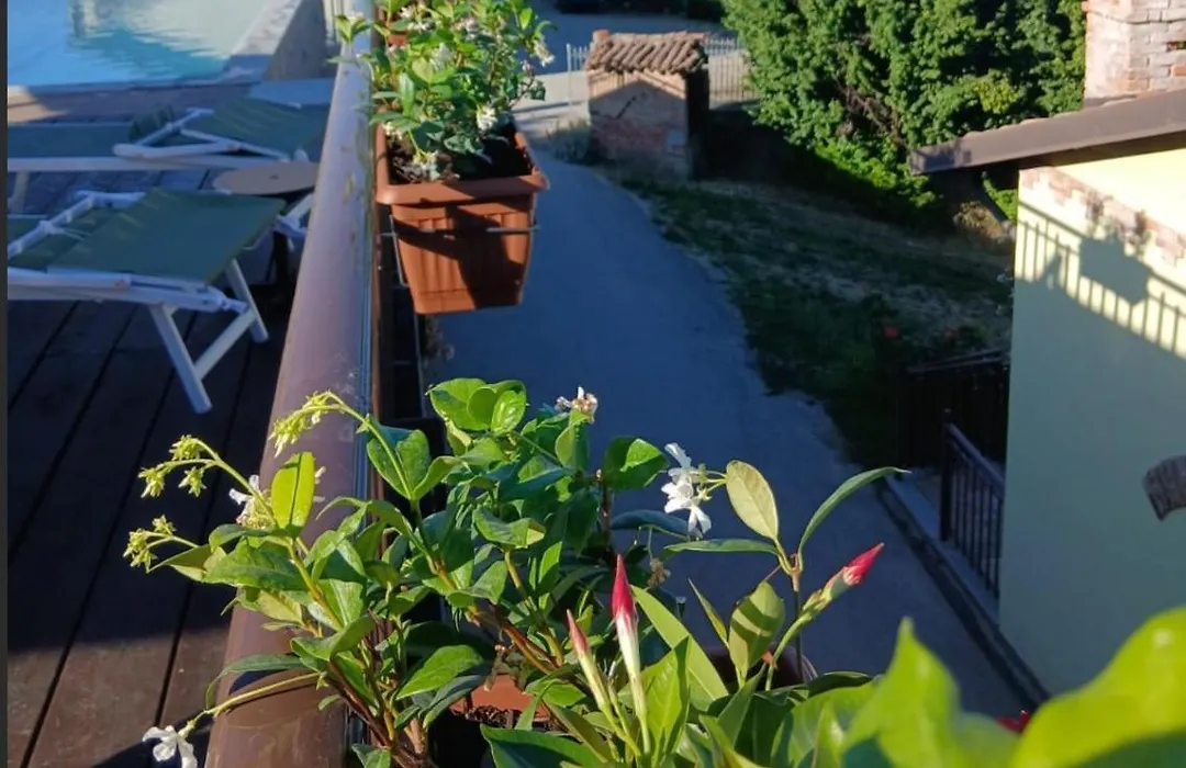 Tra... Monti E Vigne-1